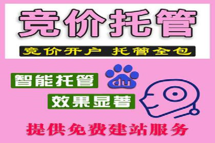 探索SEM托管代运营：提升广告转化率的方法